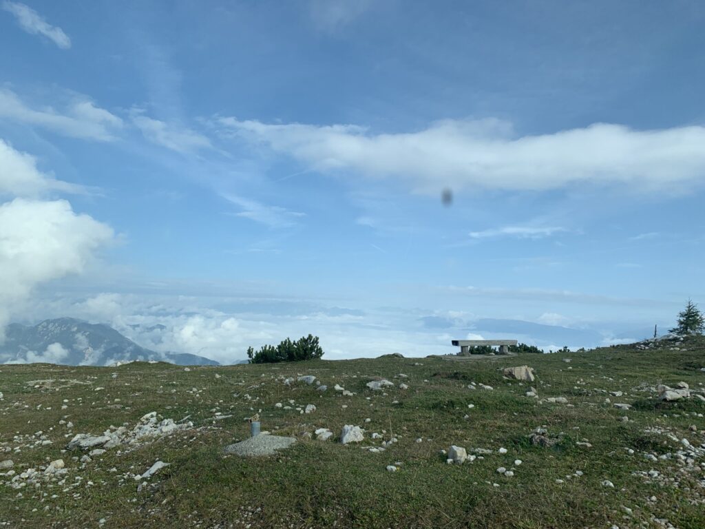 Alpine revegetation