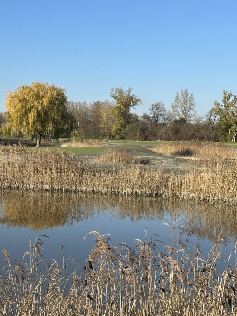 Creation of biodiversity areas