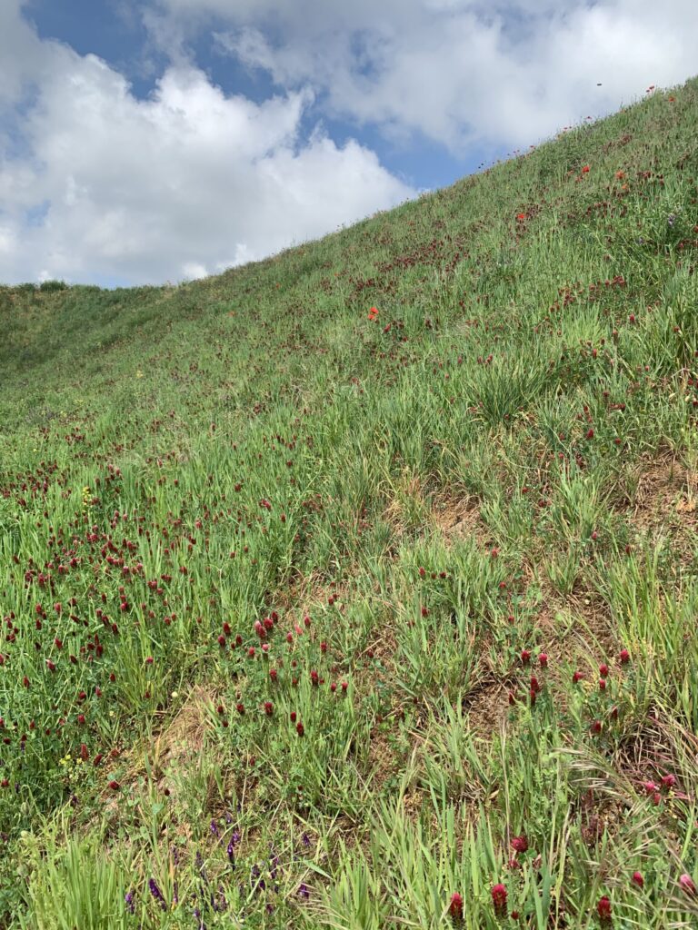 Hydraulic erosion control