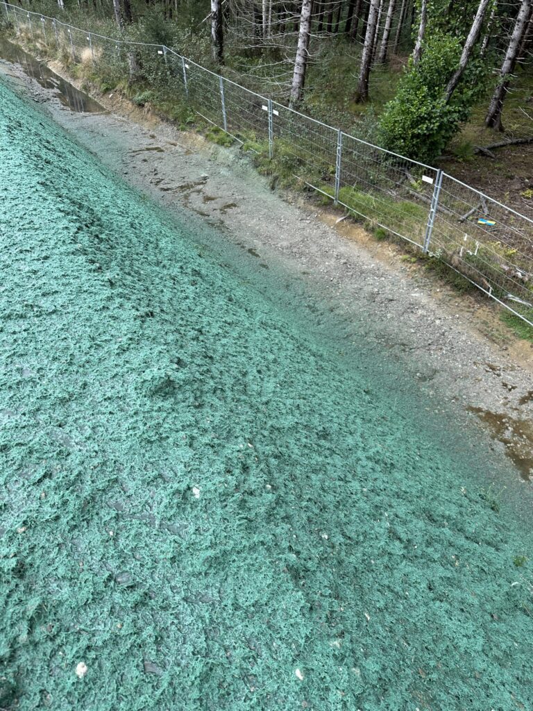 Hydraulically Applied Erosion Control Protective mulch