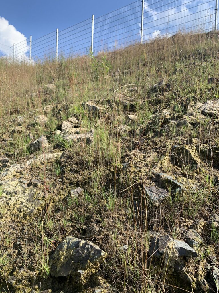 Hydroseeding Slopes