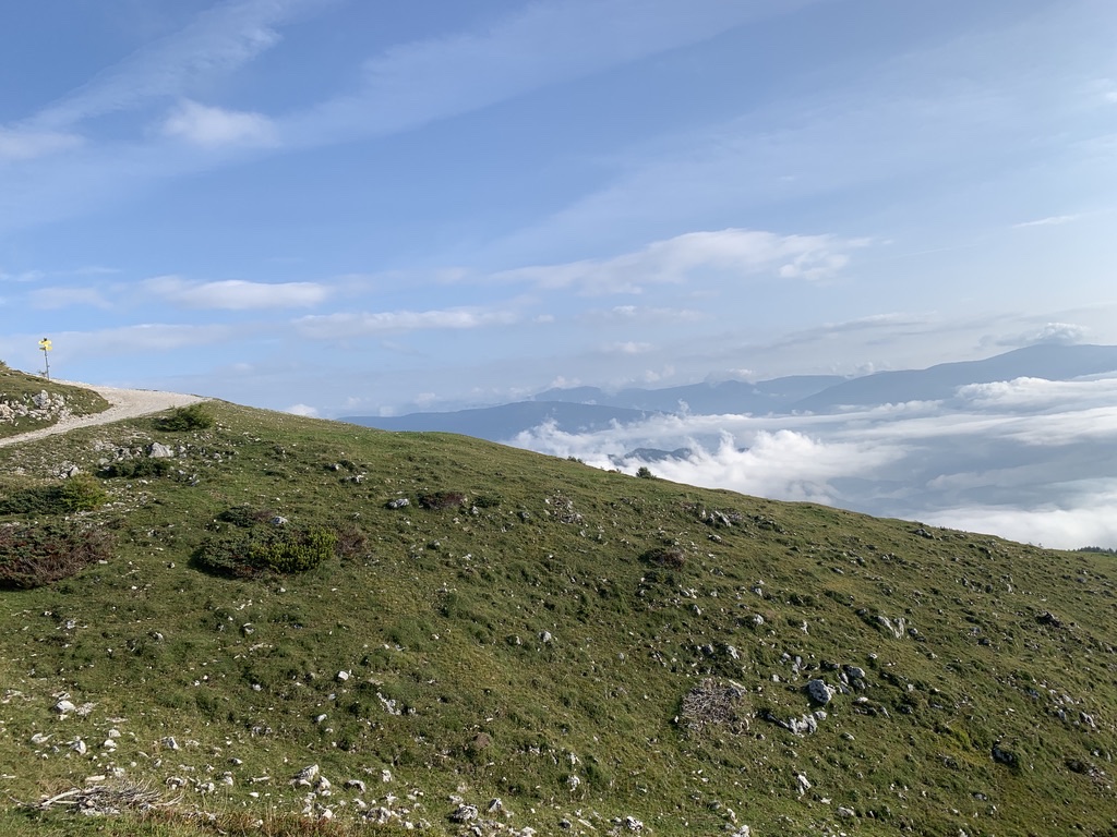 Revegetation from the air Mountains