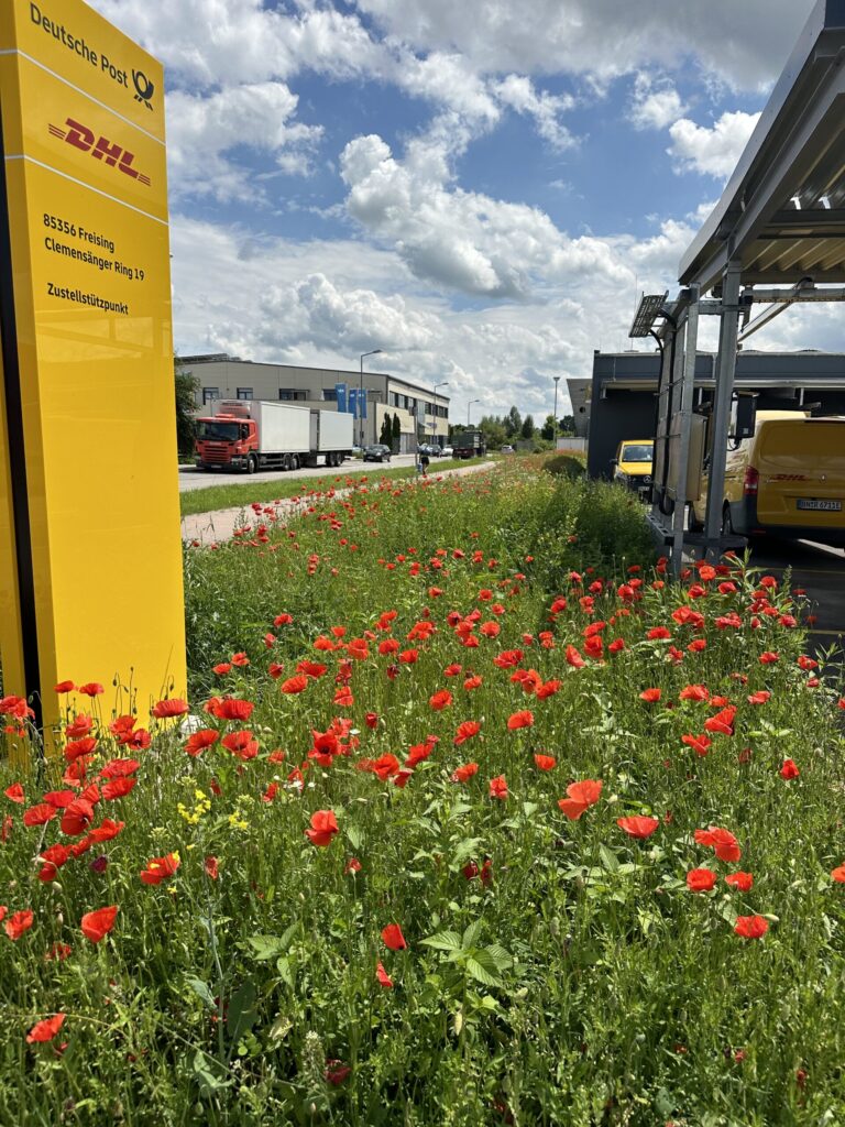 Revegetation logistics halls