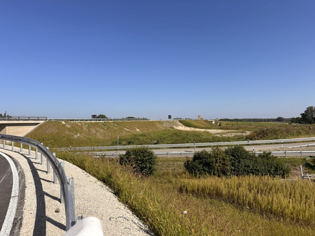 Revegetation of airport grounds