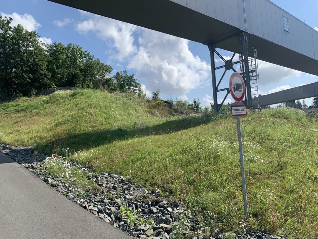 Revegetation of company premises